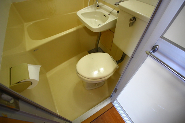 ラインハイムのトイレ写真