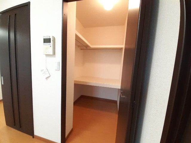 エヴァーグリーンOのその他写真