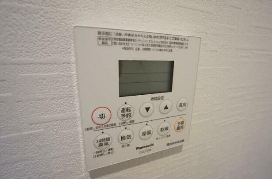 レグルス イソラのその他写真