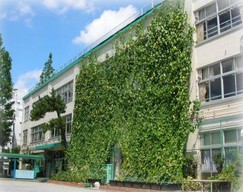 小学校　桃井第三小学校（小学校）まで695m
