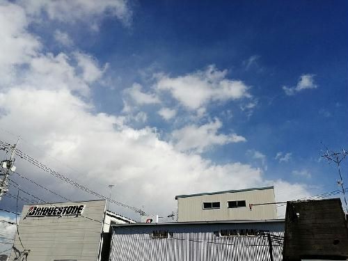 レオネクスト雪月花Iのその他写真
