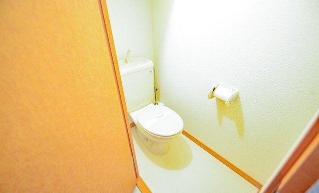 トイレ　写真は別号室のものです。