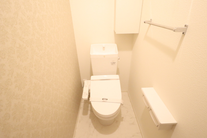 ミルアモール Dのトイレ写真