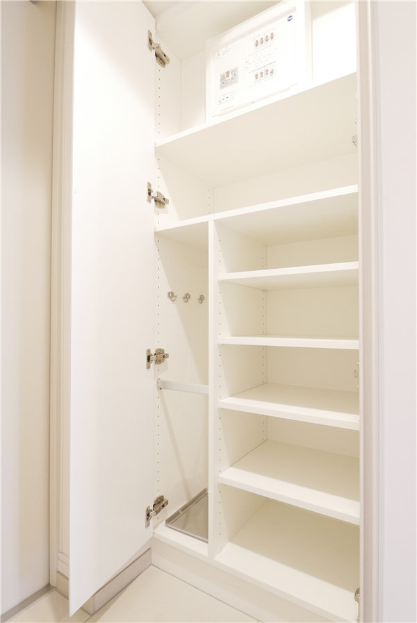 収納　内装もきれいです