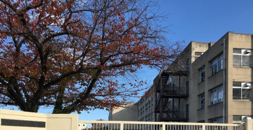 中学校　羽曳野市立河原城中学校（中学校）まで1059m