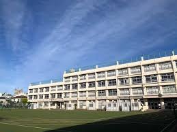 小学校　渋谷区立笹塚小学校（小学校）まで429m