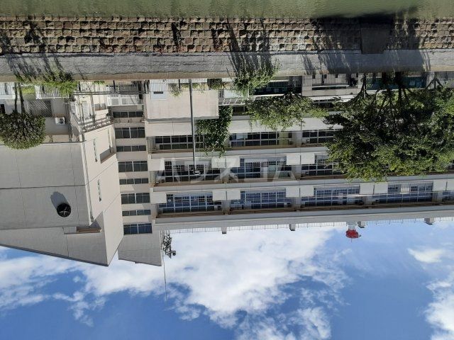 小学校　横浜市立平沼小学校（小学校）まで248m