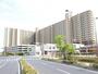 みらい平駅より徒歩1分 11階 築19年2ヶ月の賃貸物件