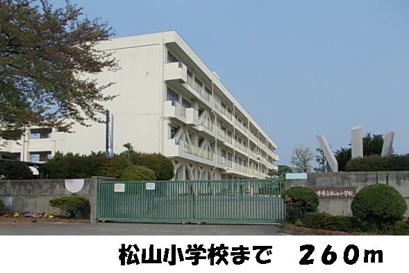小学校　松山小学校（小学校）まで260m
