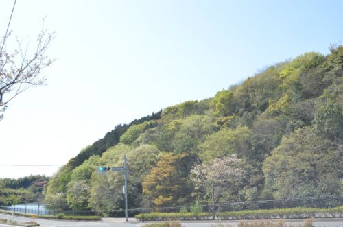 公園　瀬板の森公園南口（公園）まで1326m