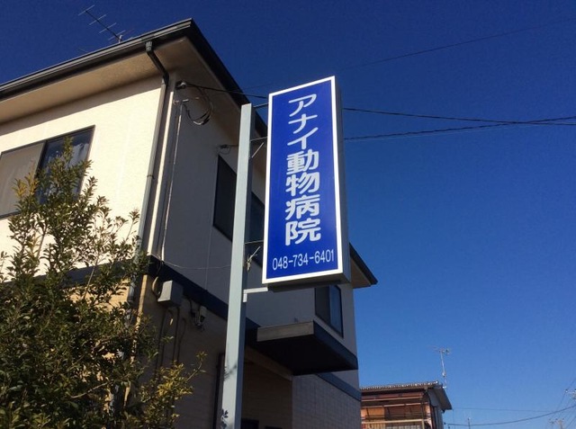 病院　アナイ動物病院（病院）まで800m