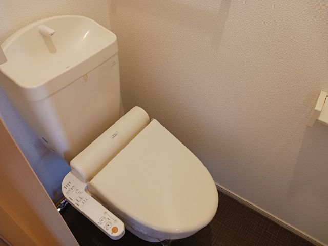 パークサイドミッチィー B棟のトイレ写真