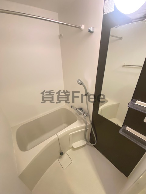 レジュールアッシュ玉造の風呂写真