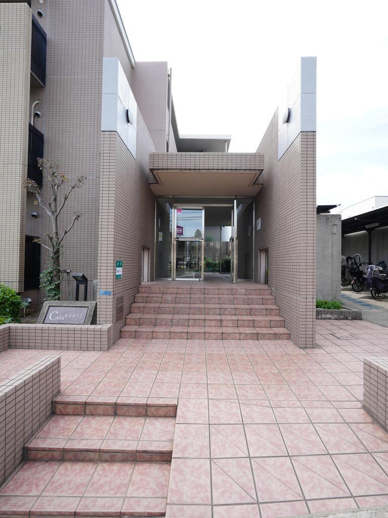 casa 花水木