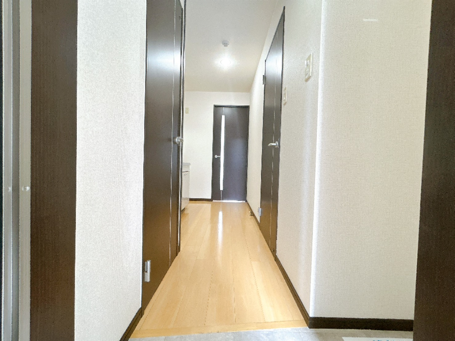 南海本線 泉大津駅 徒歩5分 2階建 築18年の玄関写真