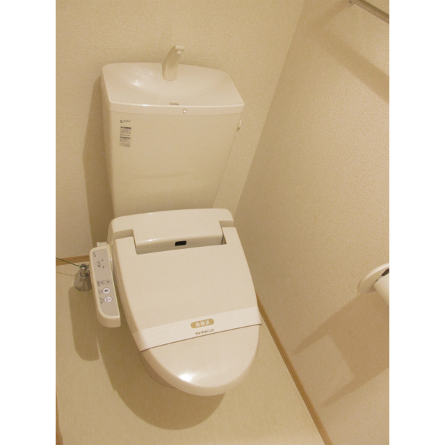 D-room サウススクエア2番館のトイレ写真