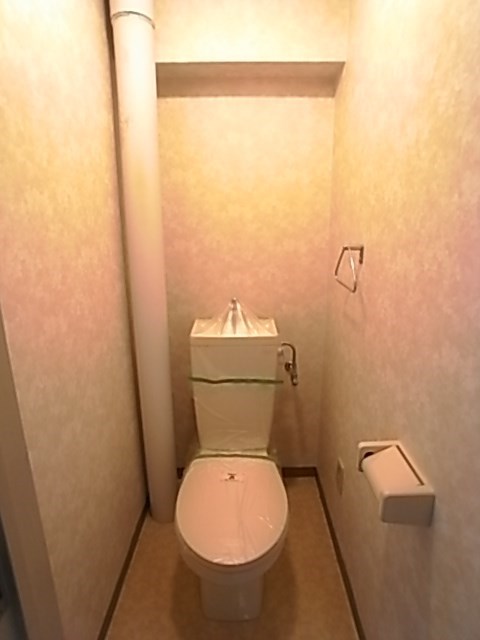 ハイネス生田のトイレ写真