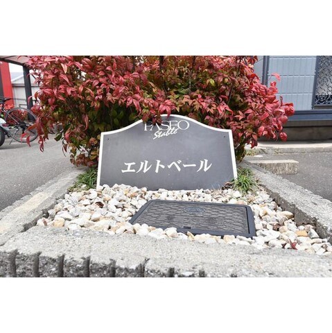 その他　その他