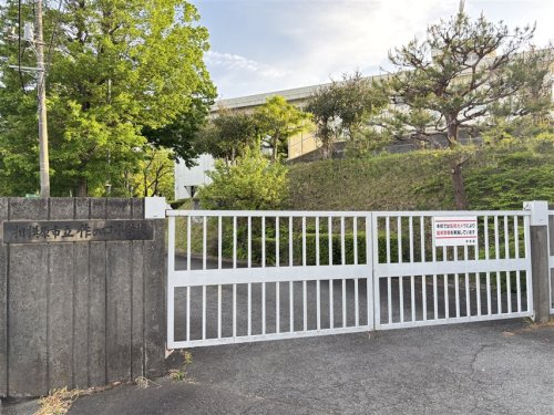 小学校　相模原市立作の口小学校（小学校）まで586m