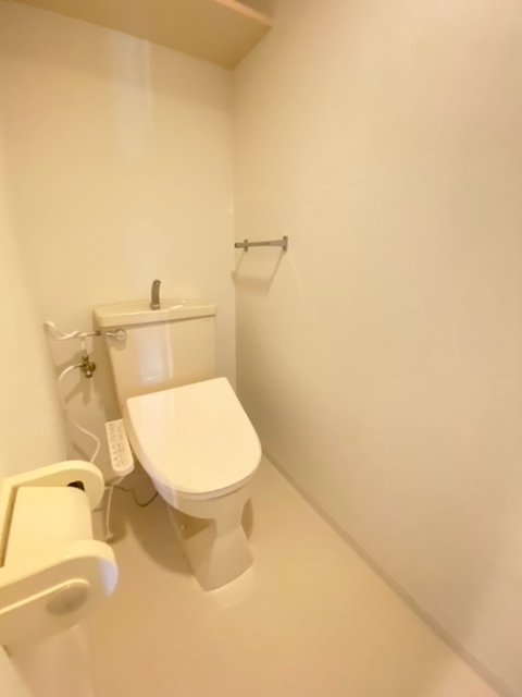 グリーンライン 高田駅 徒歩8分 11階建 築35年のトイレ写真