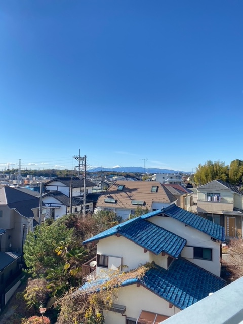 グリーンライン 高田駅 徒歩8分 11階建 築35年のその他写真