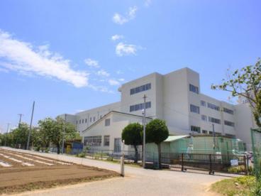 小学校　我孫子市立新木小学校（小学校）まで776m