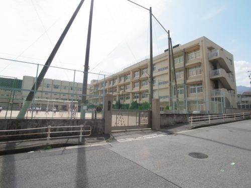 中学校　烏帽子中学校（中学校）まで782m