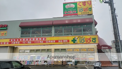 ドラックストア　どらっぐぱぱす熊野前店（ドラッグストア）まで577m