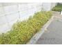 その他共有部分　植栽