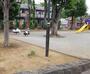 公園　足立区立神明北公園（公園）まで78m