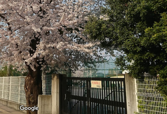 小学校　八王子第七小学校（小学校）まで800m