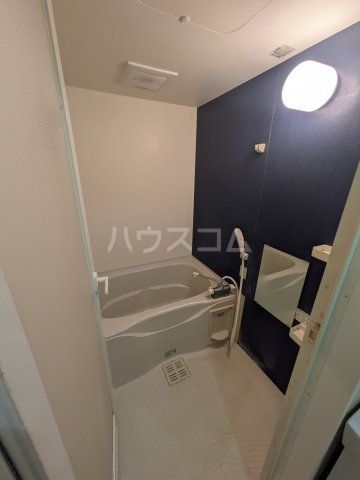 ホームタウン岩田の風呂写真