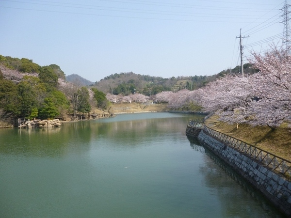 【ドミール21の公園】