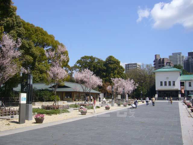 【名古屋市東区矢田南のマンションのその他】