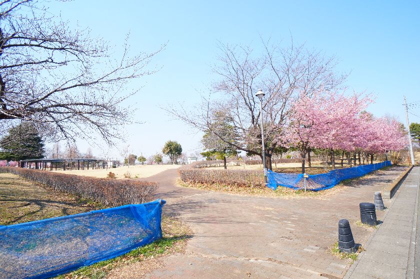 【カーサ・リーベンAの公園】