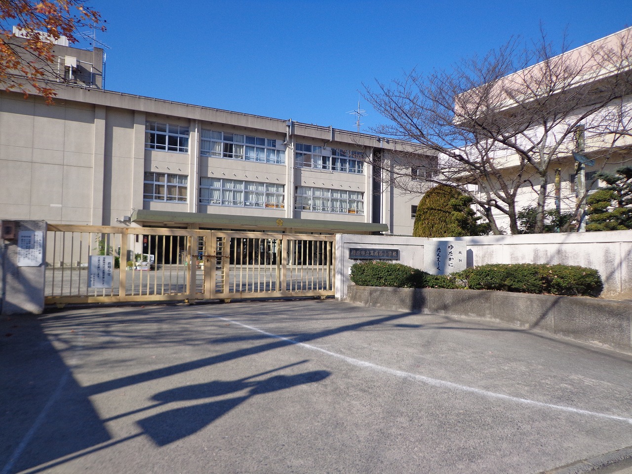 小学校　耳成西小学校（小学校）まで560m