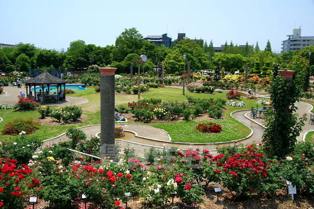 公園　若園公園（公園）まで555m
