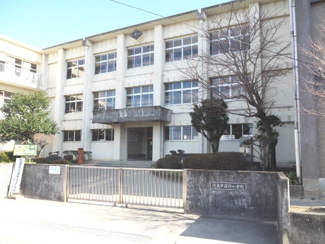 小学校　徳島市立国府小学校（小学校）まで896m