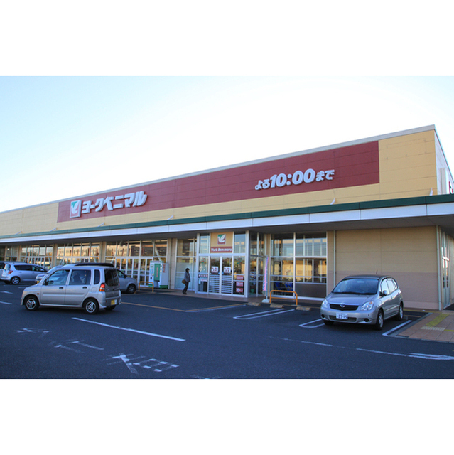 スーパー　ヨークベニマル谷田部店（スーパー）まで2361m