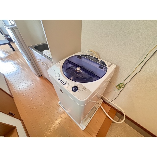 その他部屋・スペース　室内洗濯機置場（同仕様タイプ・現況優先）