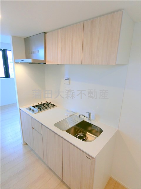 キッチン　2口ガスシステムキッチン