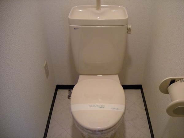 トイレ　トイレも気になるポイント