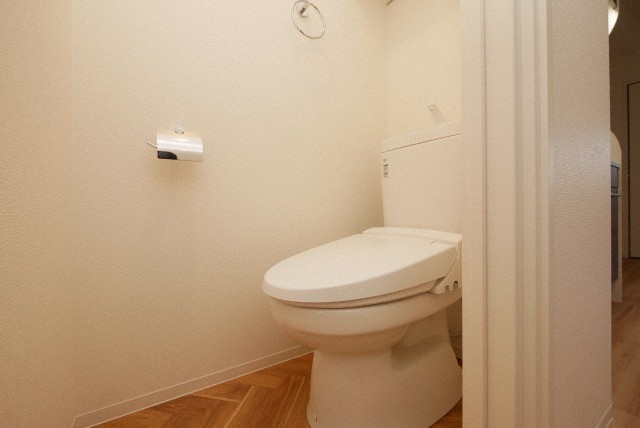 トイレ　トイレも気になるポイント