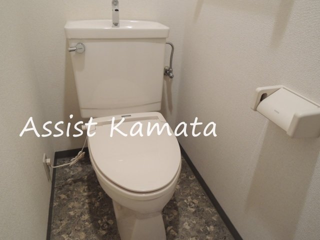 トイレ　写真は同タイプの別号室です