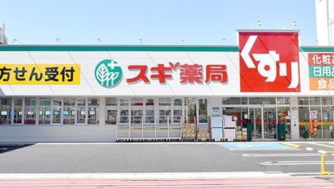 ドラックストア　スギ薬局江戸川南店（ドラッグストア）まで1100m