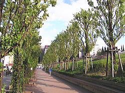 公園　江坂公園（公園）まで54m