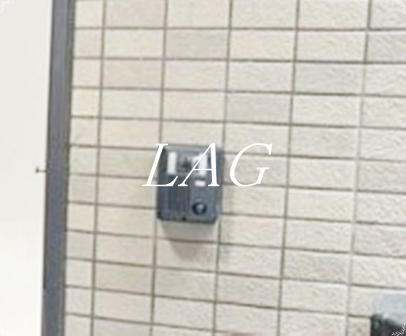 セキュリティ　モニター付きインターホンになります。