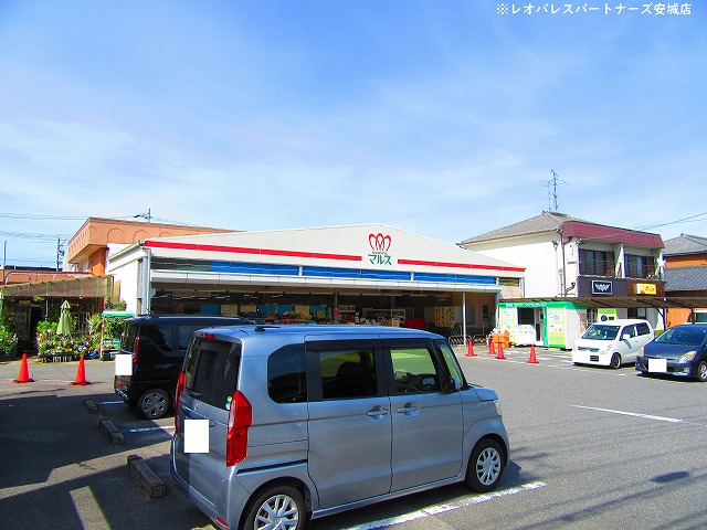 スーパー　ショッピングマルス本店（スーパー）まで1104m