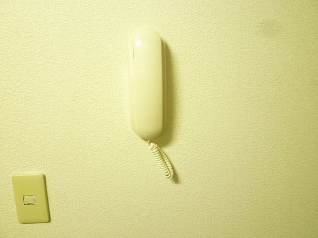 セキュリティ　インターフォン