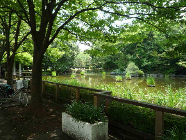 公園　後谷公園（公園）まで700m